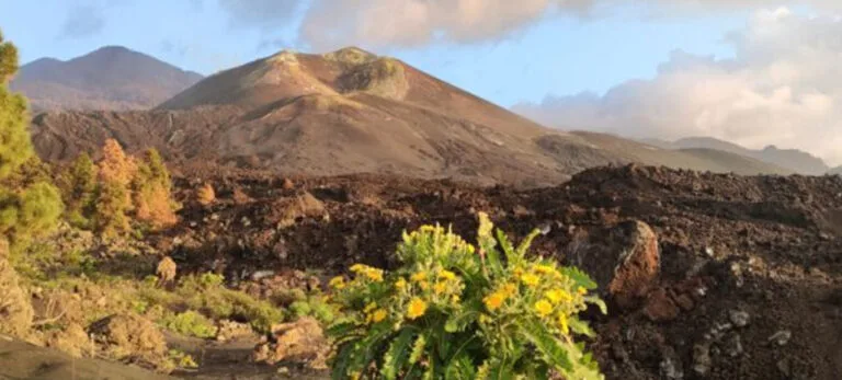 Hiking - National Park and Volcano