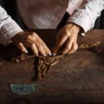 Holy Springs - A Hike Through Meadows, Forests, and History.