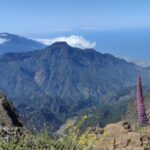 Spektakuläre Inselrundfahrt La Palma