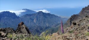 Spektakuläre Inselrundfahrt La Palma