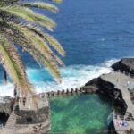 Fairytail Forest La Palma