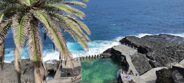 Freitag Genusstour Märchenwald - Auf den Spuren der Dinosaurierwälder von La Palma