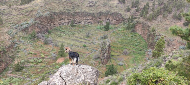 Mittwoch Überraschungstour - Wandertour auf La Palma