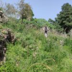 Überraschungstour - Wandertour auf La Palma