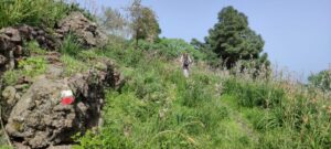 Überraschungstour - Wandertour auf La Palma