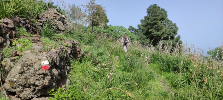 Mittwoch Überraschungstour - Wandertour auf La Palma
