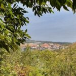 Holy Springs - A Hike Through Meadows, Forests, and History.