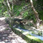 Holy Springs - A Hike Through Meadows, Forests, and History.