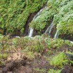 Adventurous Tunnel Tour in the Laurel Forest - Marcos y Cordero