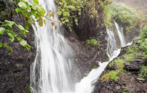 Adventurous Tunnel Tour in the Laurel Forest - Marcos y Cordero
