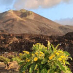 Spectacular Island Tour La Palma
