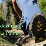 Wander Tagestouren La Palma