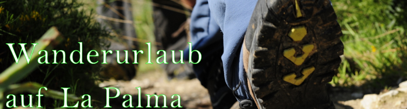 Wander Tagestouren La Palma