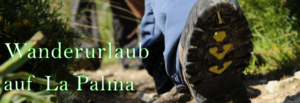 Wander Tagestouren La Palma