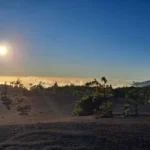 National Park and Volcano Cruise Excursion