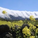 Cloud Waterfall Hike La Palma