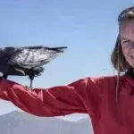 Wanderführer buchen