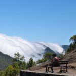 Wolkenwasserfall und Kiefernwald