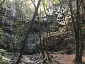 Vom Zauberwald La Zarza nach El Tablado