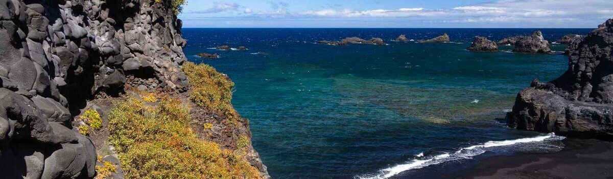 La Zamora La Palma