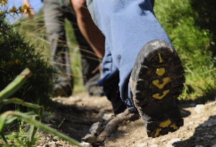 Hiking holiday accommodation on La Palma