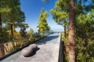 Puntagorda; La Palma- Barranco de Izcagua