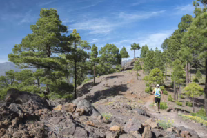 El Paso Reventon-Trail