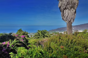 Casa Lagarto – Ihr stilvoller Rückzugsort über dem Aridanetal auf La Palma
